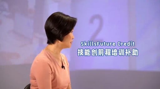 Channel 8: A Conversation with Minister 2023 空中访民情 2023 EP3 | Subsidies for Employees 1